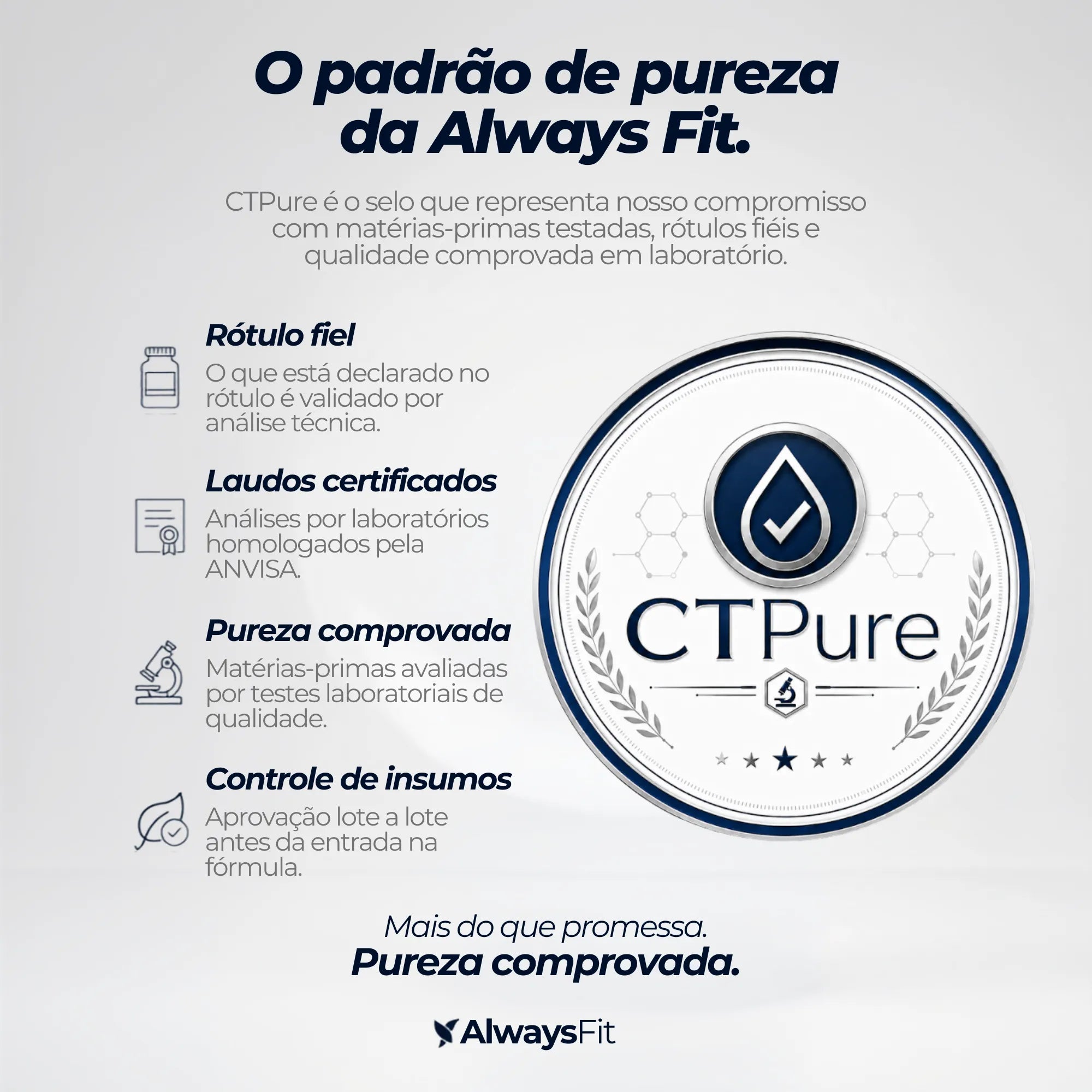 FitHair - Biotina, Zinco, Ferro, Cobre, Cisteína e + Vitaminas - 30 Cápsulas
