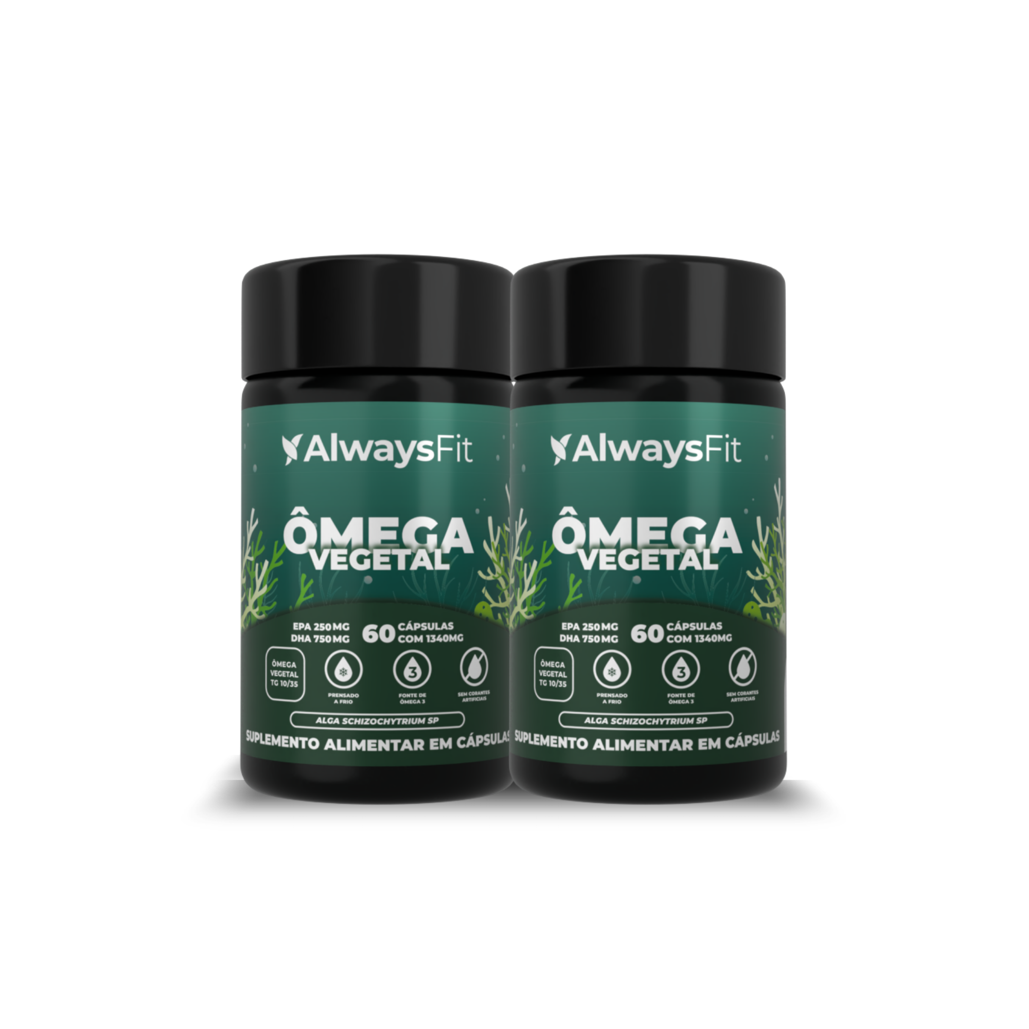 Ômega 3 Vegetal — Suplemento alimentar de ácidos graxos ômega 3 em cápsulas